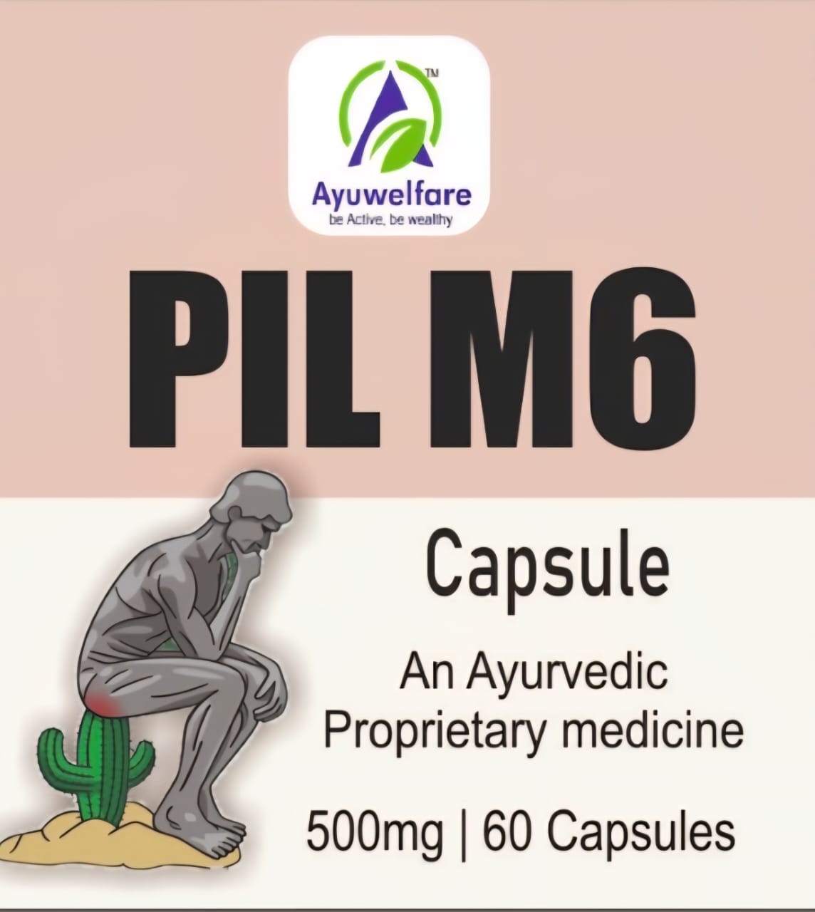PIL-M6 500MG CAPSULES